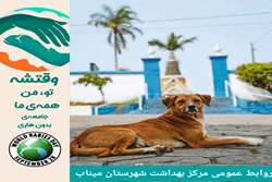 آمار نگران‌کننده حیوان‌گزیدگی در میناب / ثبت بیش از ۵۰۰ مورد از ابتدای سال
